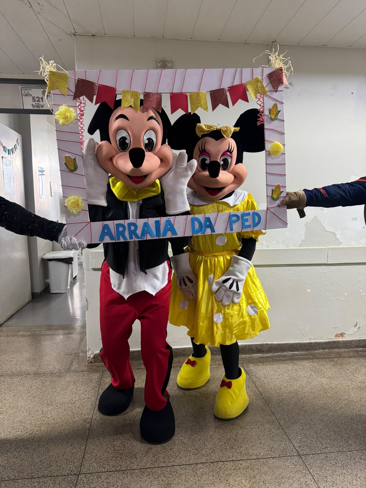 Personagens em pelúcia do Mickey e da Minnie em festa junina